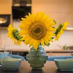 Aurea Apartment *